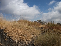 rrente Quarantore-20110911 180